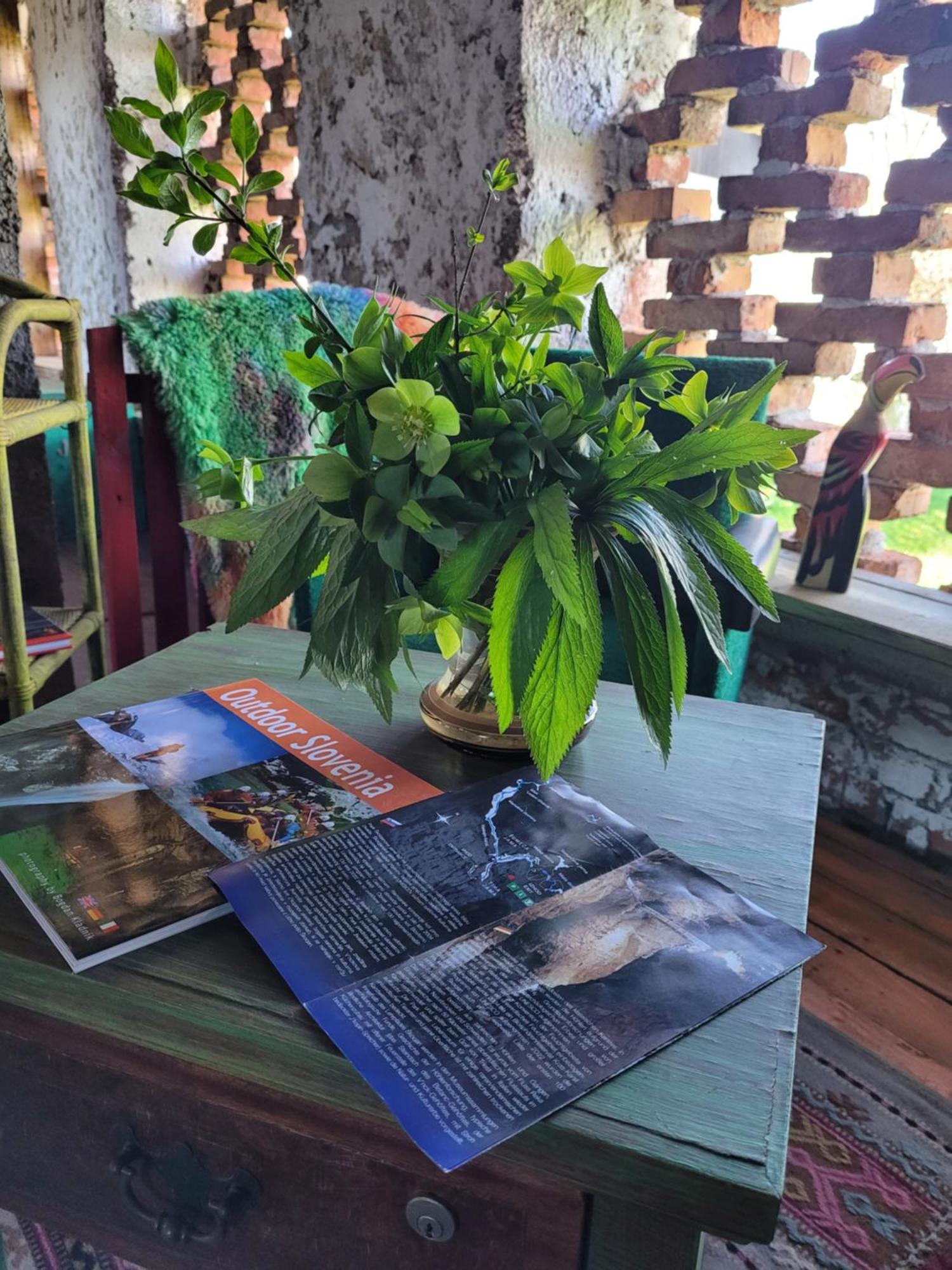 Nomads Glamp Hostel Bled Ngoại thất bức ảnh