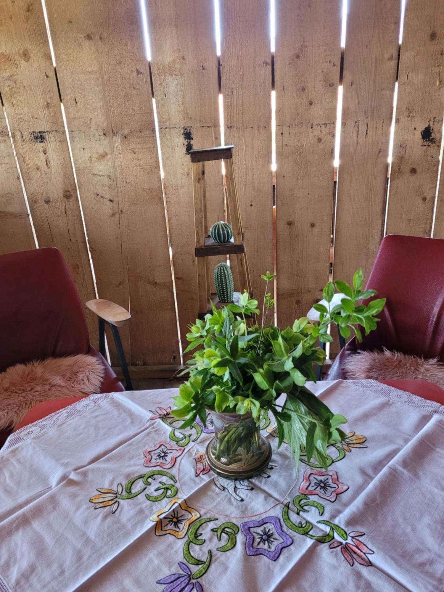 Nomads Glamp Hostel Bled Ngoại thất bức ảnh